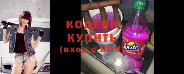 индика Надым