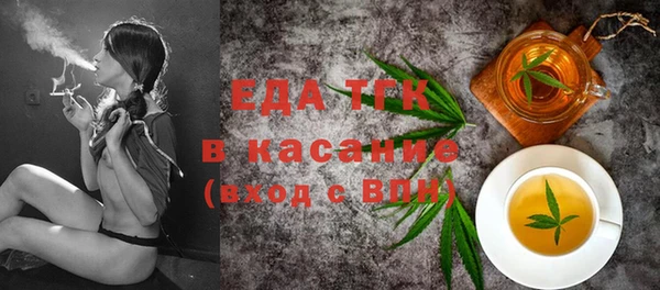 индика Надым