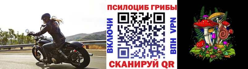 как найти закладки  это как зайти  Галлюциногенные грибы мухоморы  Микунь 