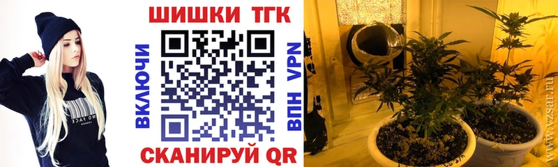 МАРИХУАНА SATIVA & INDICA  цена   shop как зайти  Микунь 
